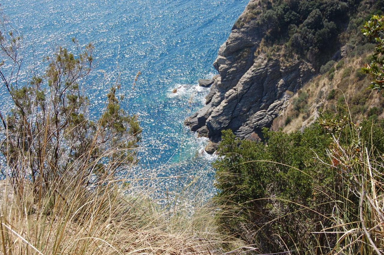 Time Is You Rapallo Extérieur photo